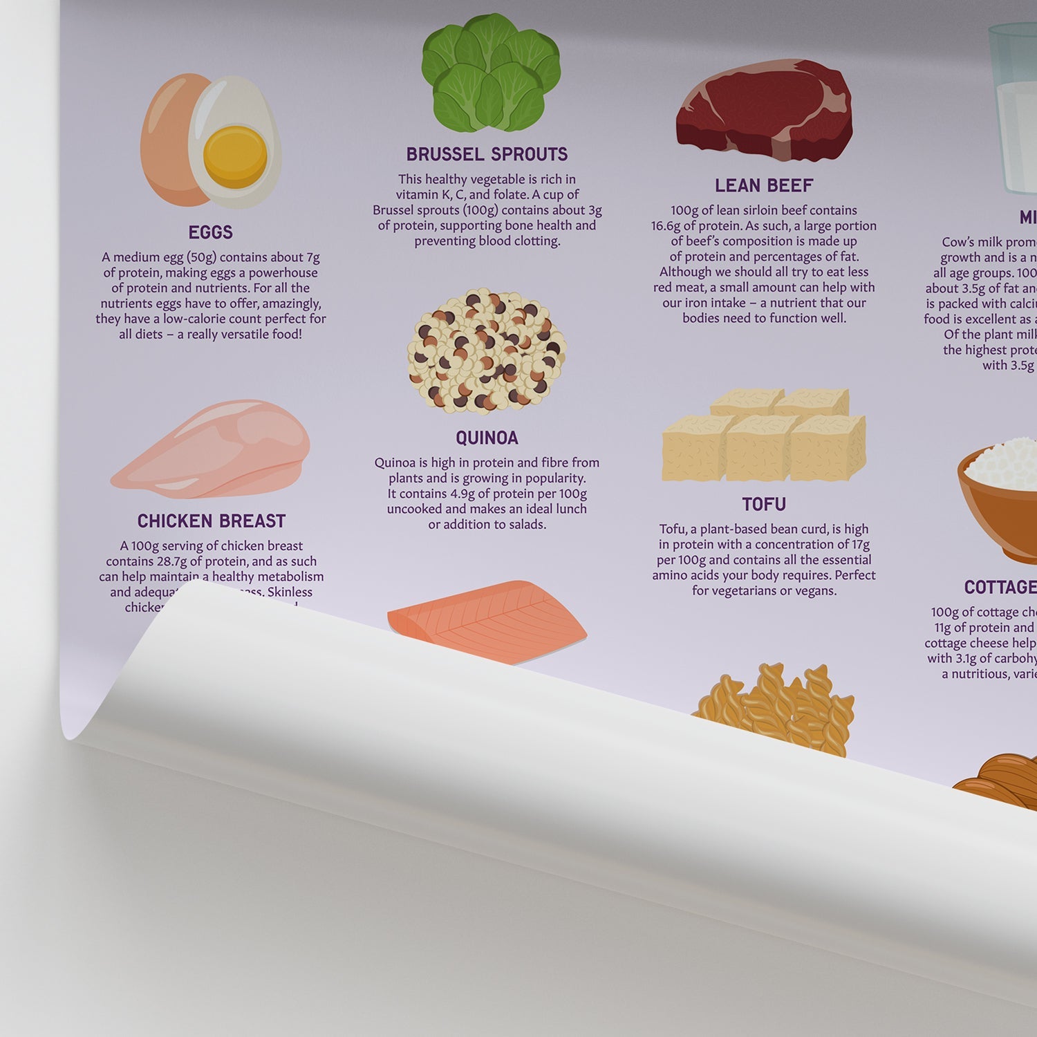 High Protein Foods Chart / Poster - Part of Collection