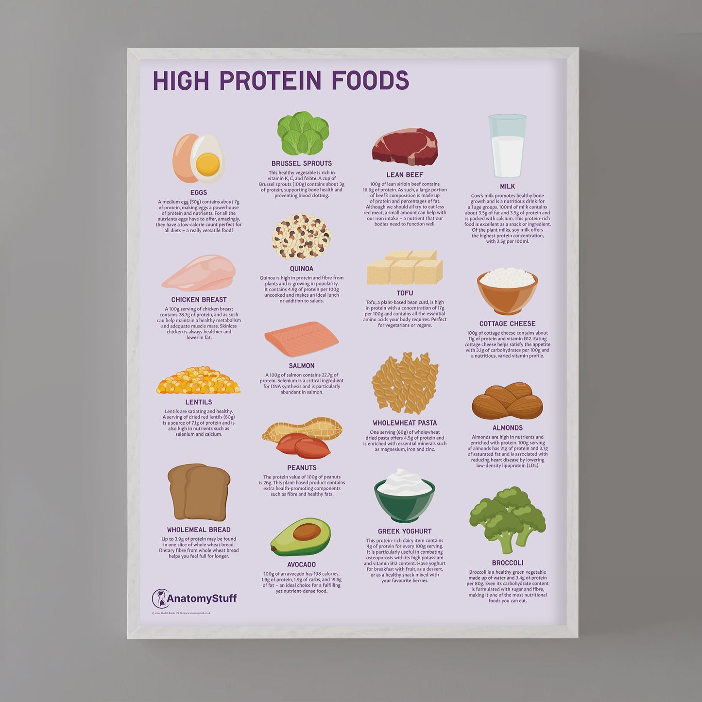 High Protein Foods Chart / Poster