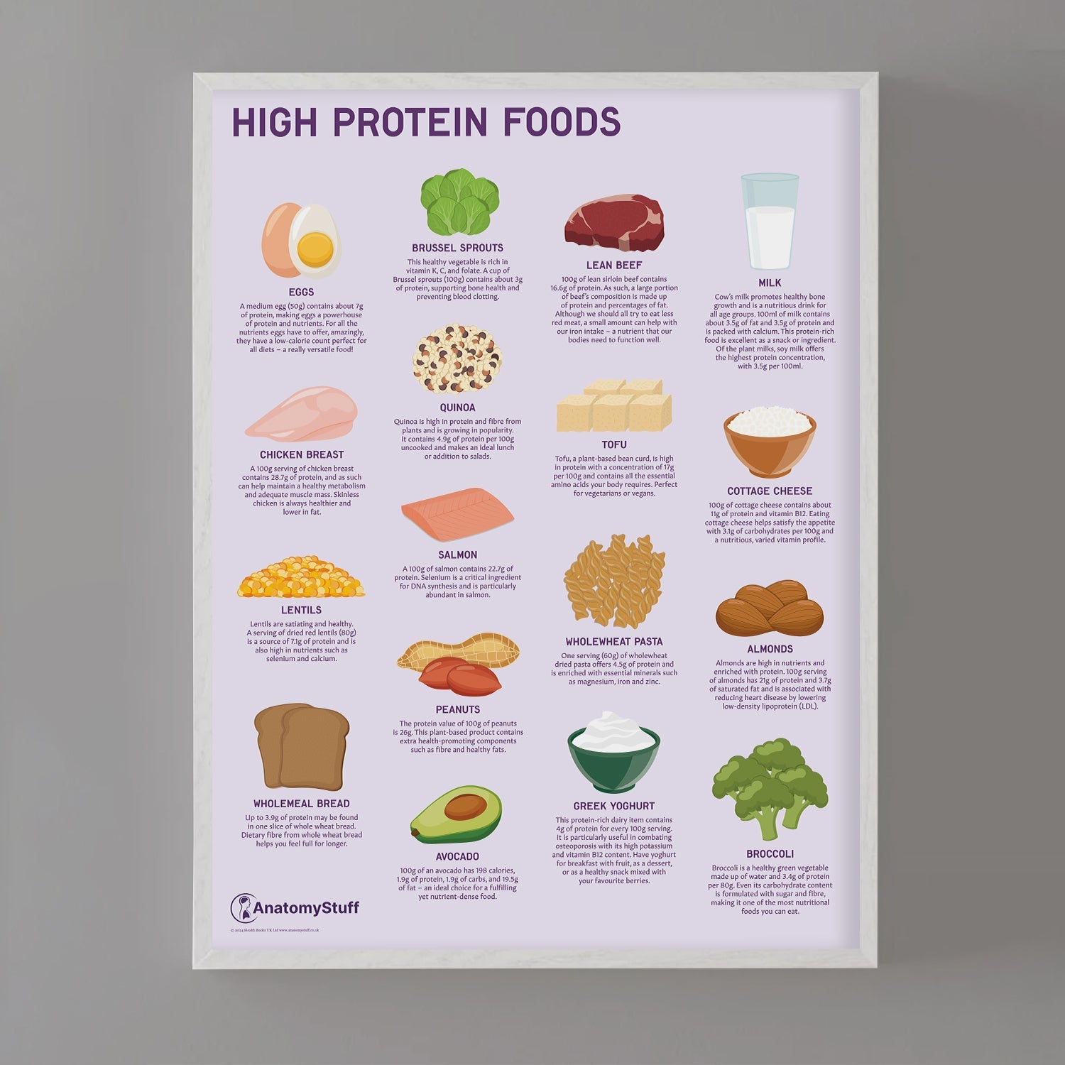 High Protein Foods Chart / Poster - Part of Collection