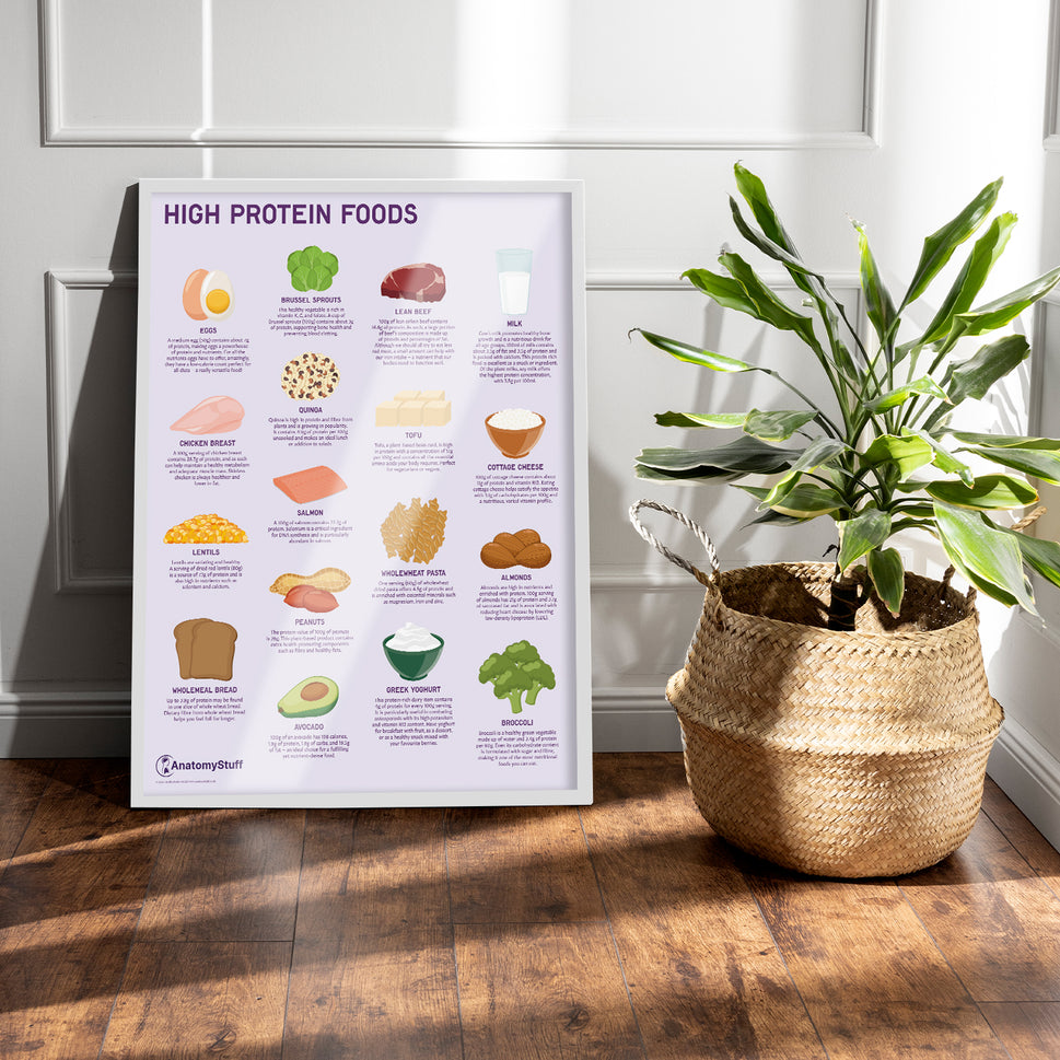 High Protein Foods Chart / Poster