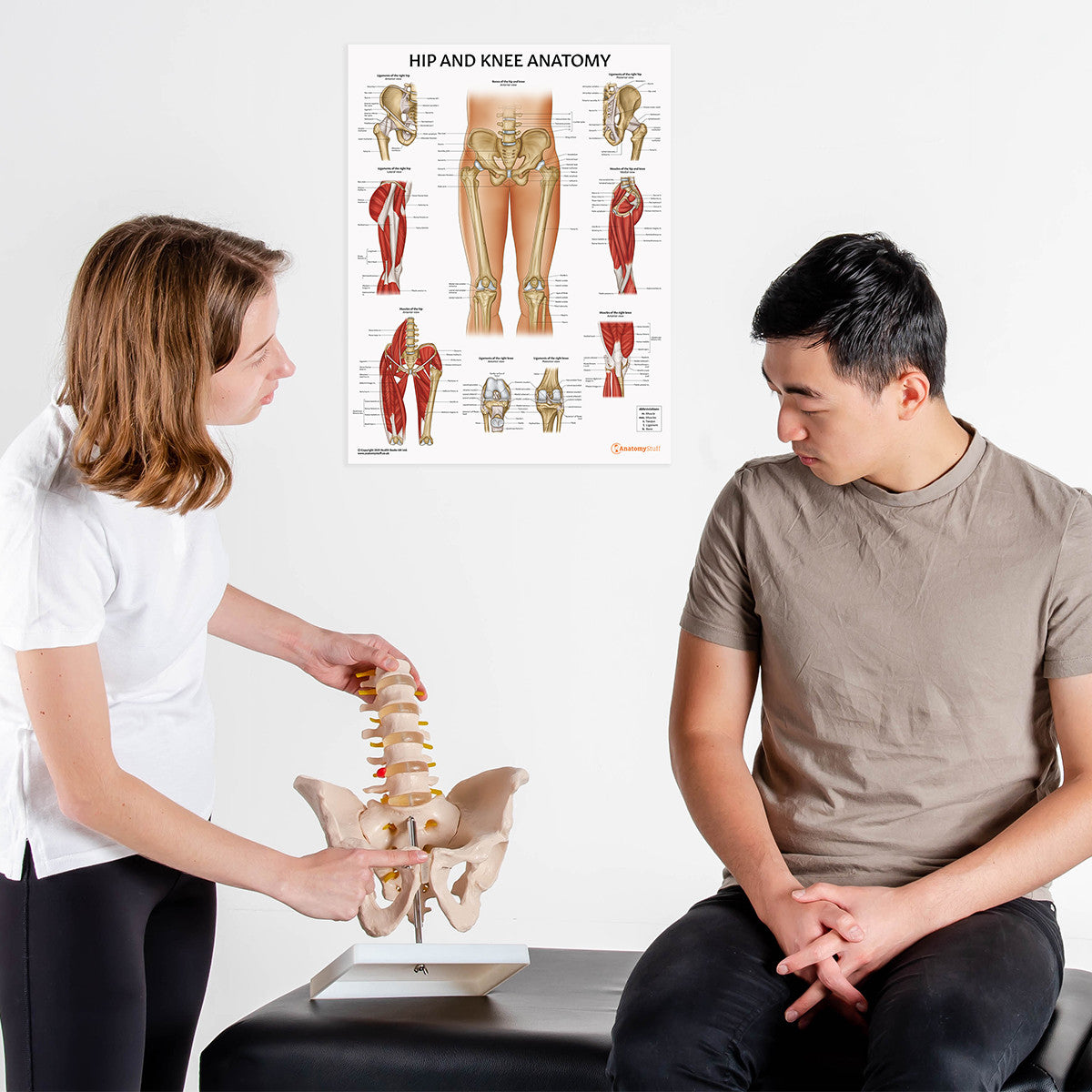Budget Lumbar Spine Model with Pelvis