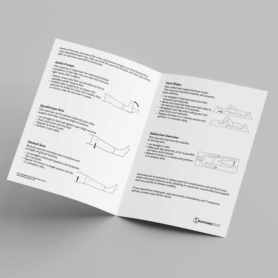 Hip Replacement Exercises Leaflet (Printable PDF)