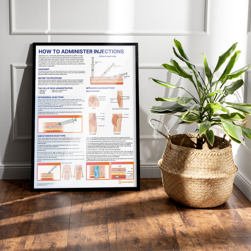 How to Administer Injections Chart / Poster