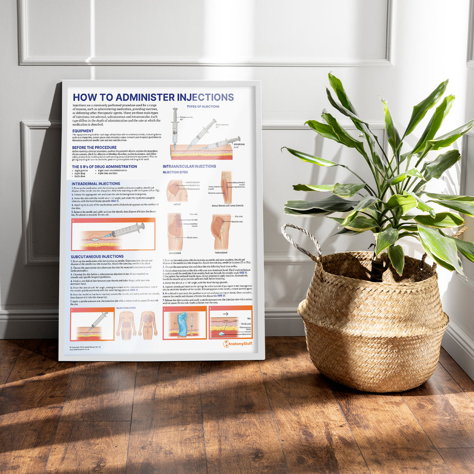 How to Administer Injections Chart / Poster