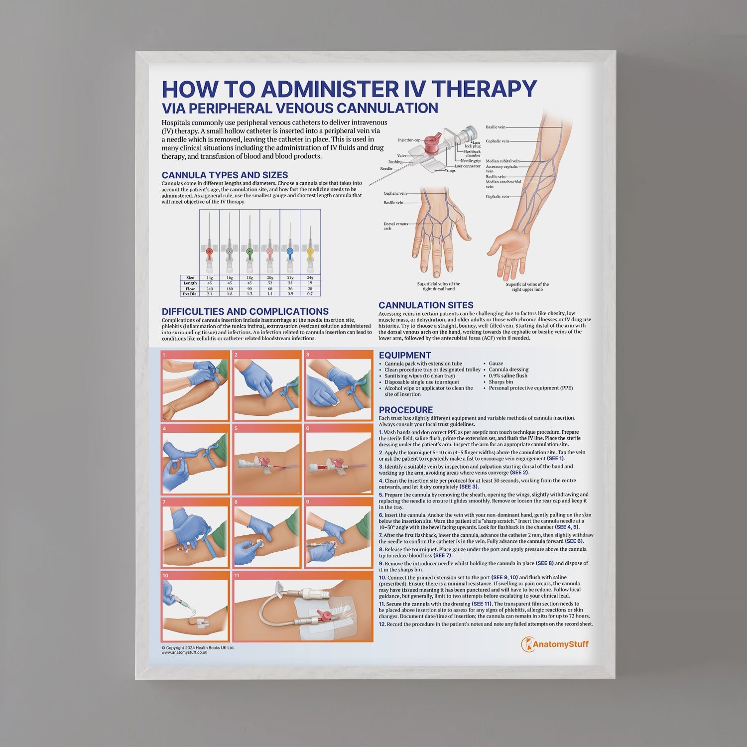 IV Therapy Chart / Poster - Part of Collection