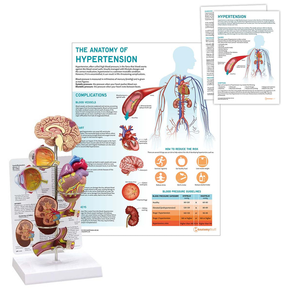 Hypertension Collection