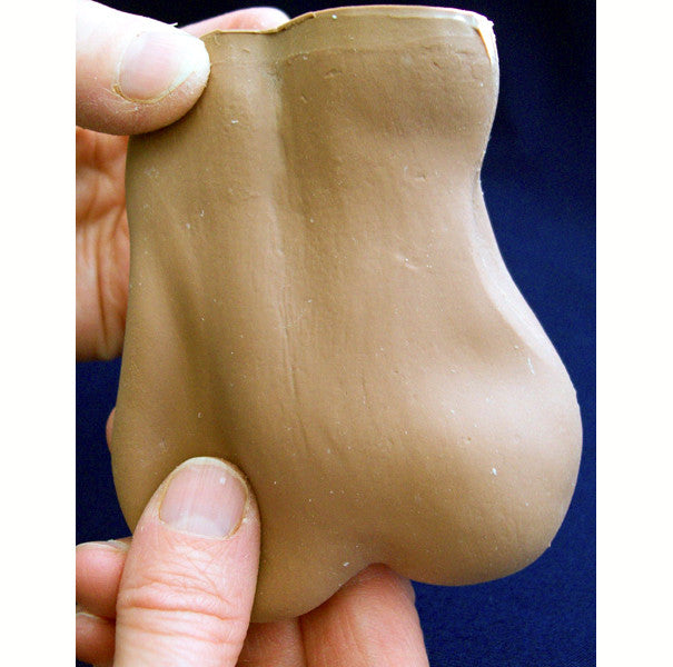 Testis Awareness Model (Dark Skin)