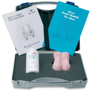 Testis Awareness Model (White)