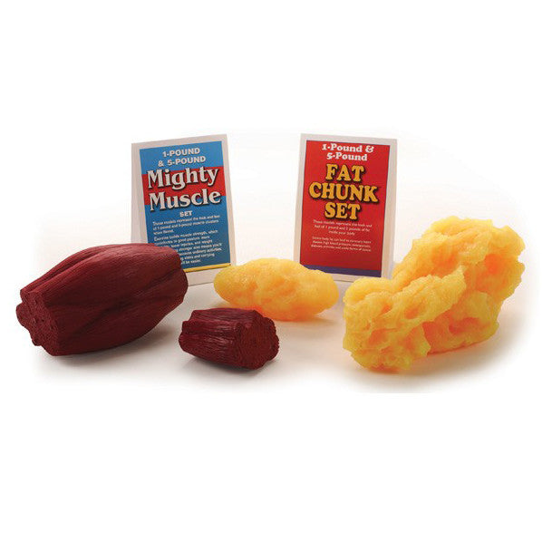 Fat Chunks And Mighty Muscles Model Set (1lb and 5lb)