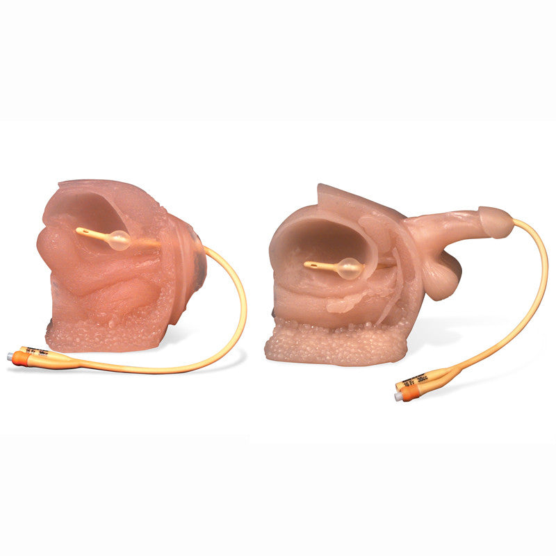 Catheter Model Set