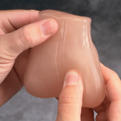 Testicular Self-Examination Model (2 lumps in 1 testicle)