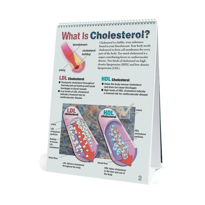 Cholesterol Flip Chart
