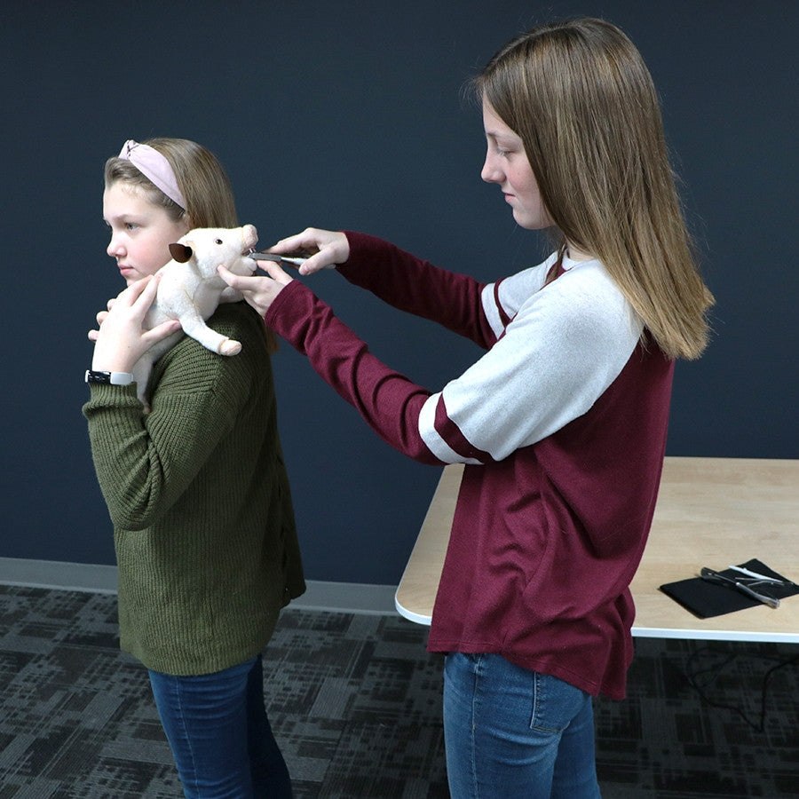 Swine Litter Processing Simulators