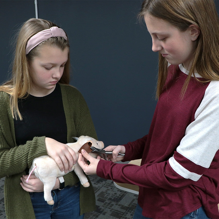 Swine Litter Processing Simulators