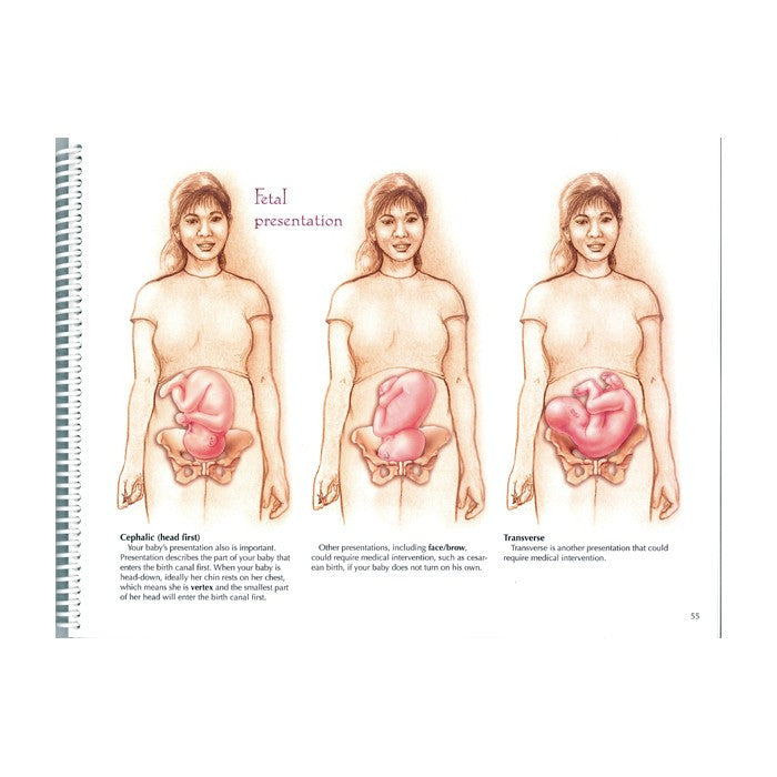 With Child Desk Version Spiralbound Charts