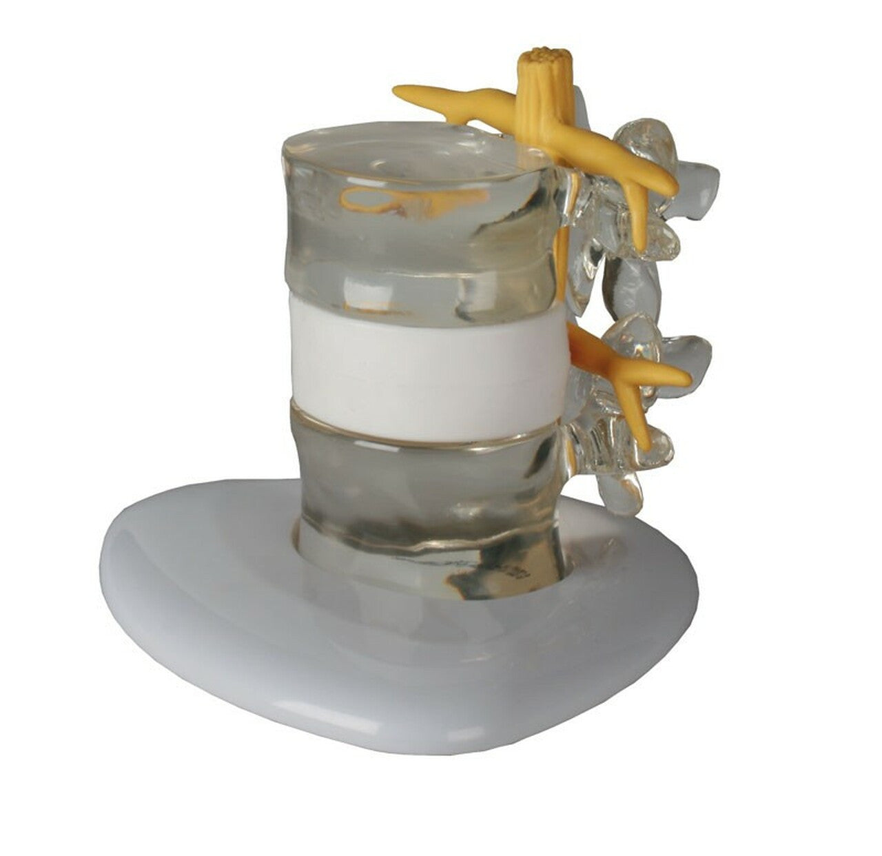 Deluxe Manual Handling Demonstration Kit