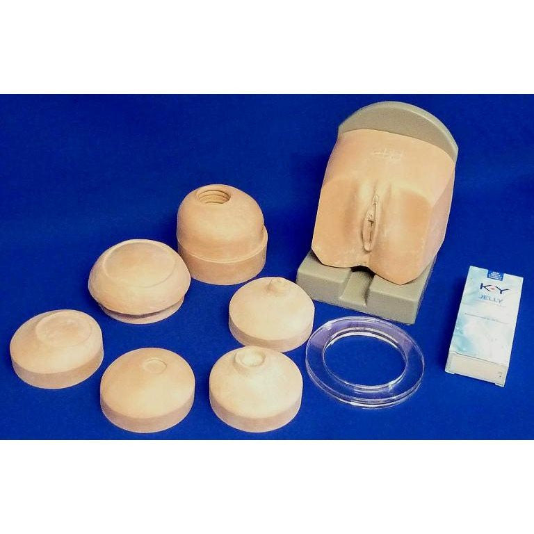 Cervix Examination Set Training Model