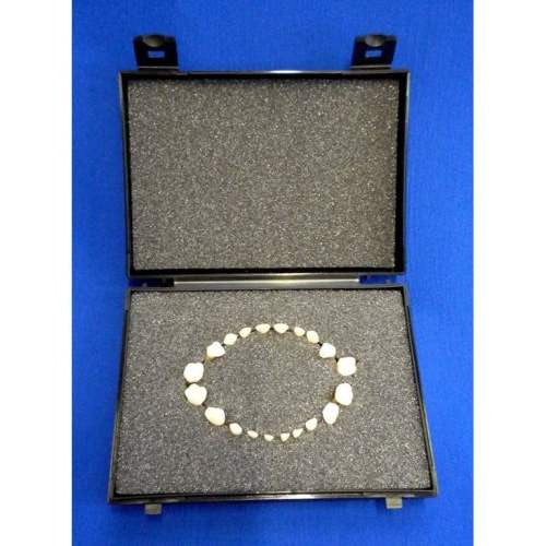 Deciduous Teeth Set (20 part)