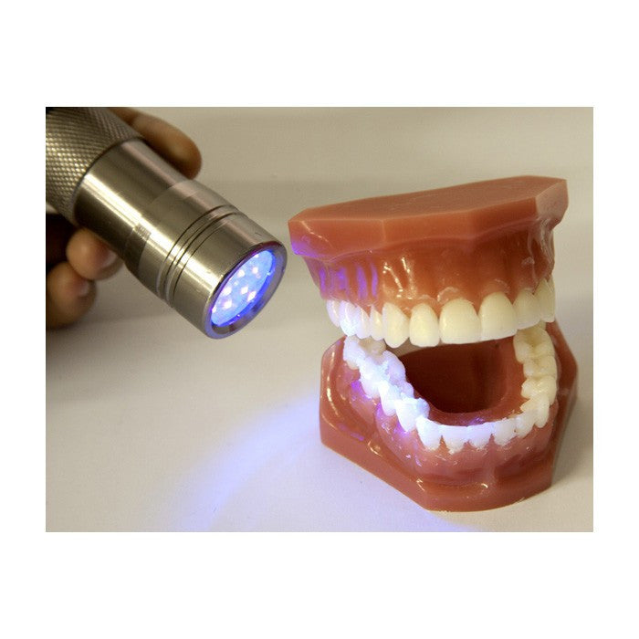Plaque Hunter Dental Demonstration Model