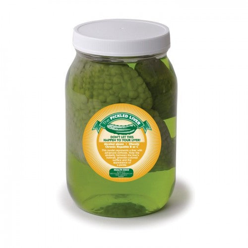 Pickled Liver Model