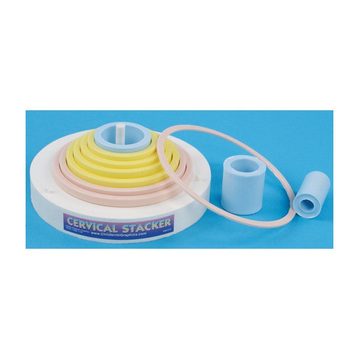 Cervical Stacker Model
