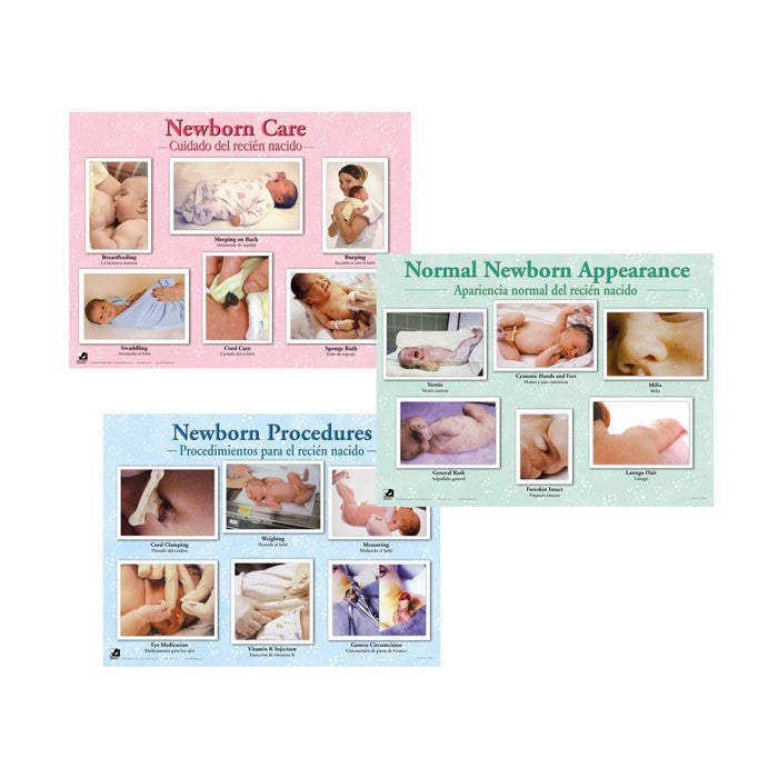 Newborn Laminated Chart Set (Set of 3)
