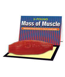 Mass Of Muscle Model (5 lb)