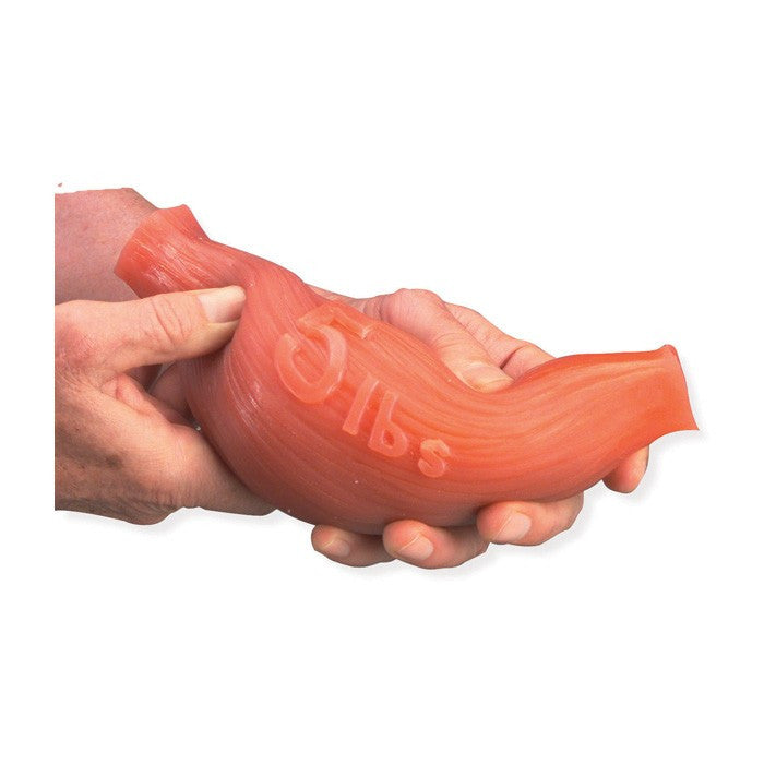 Mass of Muscle Model (5 lb)