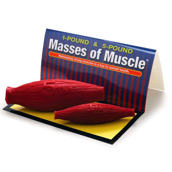 Masses of Muscle Set (1 lb and 5 lb)