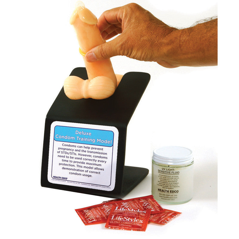 Circumcised Condom Training Model