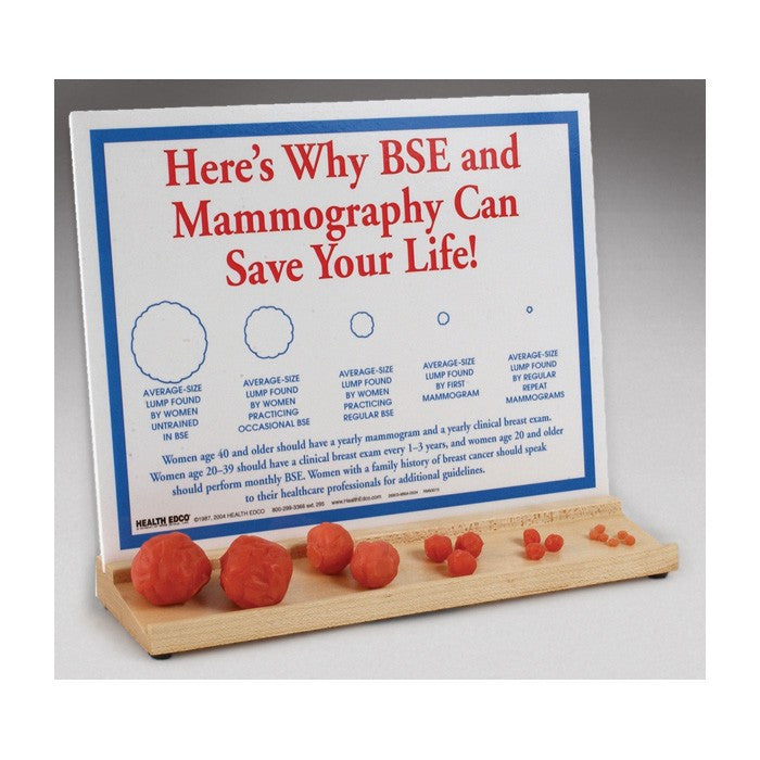 Interactive Breast Lump Display