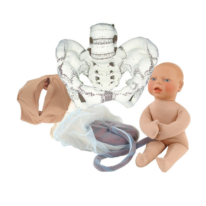 Cloth Childbirth Model Set: Pelvis, Foetal doll, Perineum, and Placenta