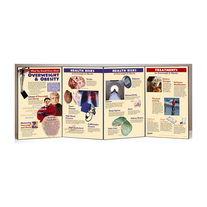 What You Should Know About Overweight And Obesity Folding Display