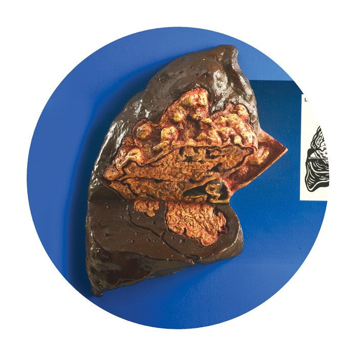 Folding Display Carrying Case