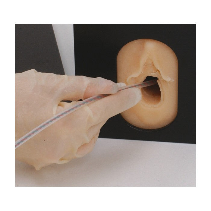 Foetal Heart Monitoring Trainer