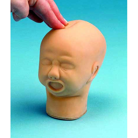 Foetal Head Palpation Model