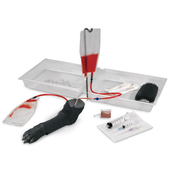 Canine IV Leg Training Model