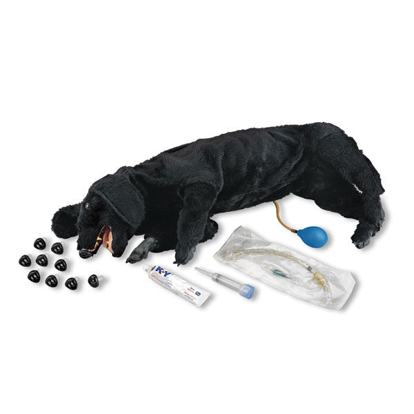 Basic Sanitary CPR Dog Manikin