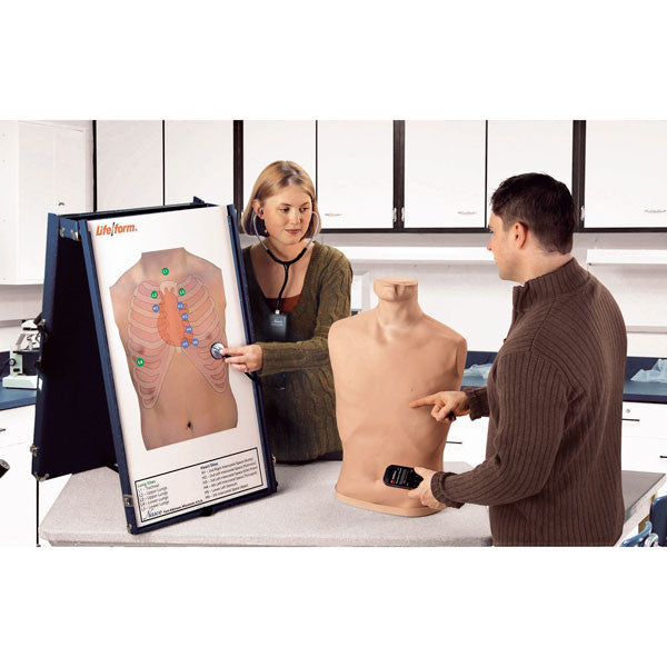 Complete Auscultation Training Station