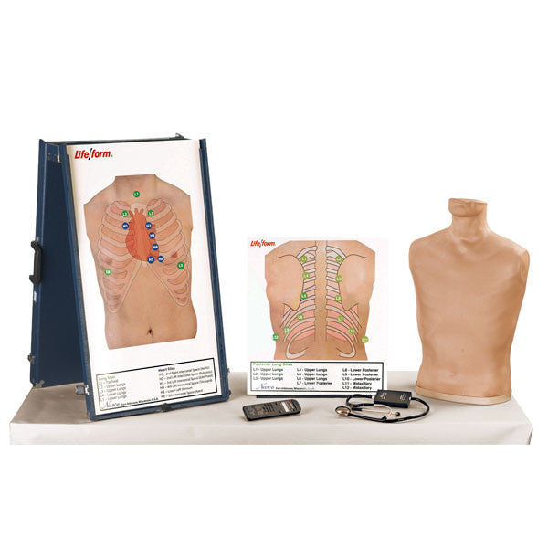 Deluxe Auscultation Training Station