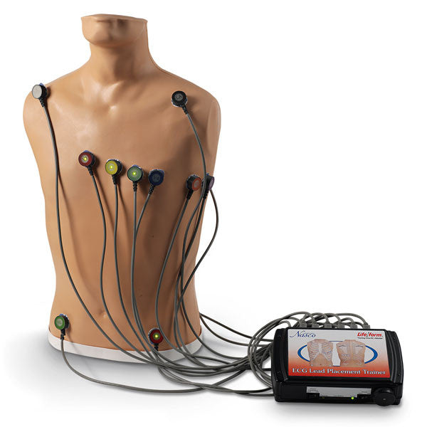15-Lead ECG Placement Trainer
