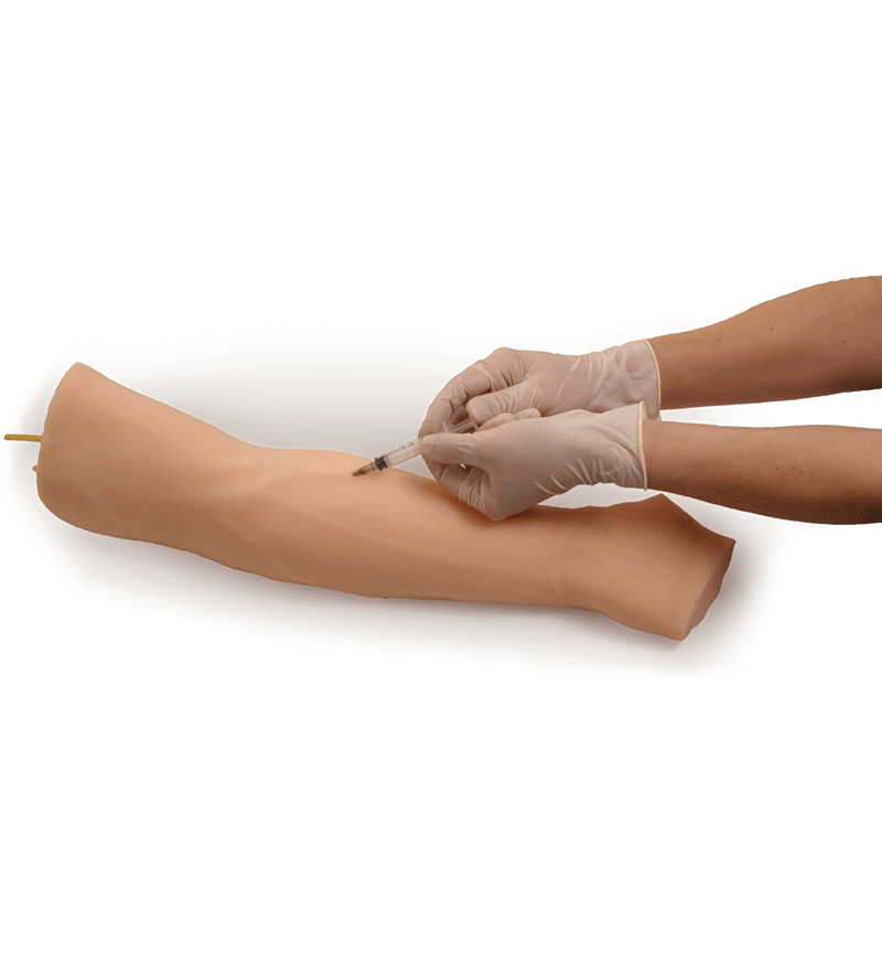 Venipuncture Injection Training Arm Model