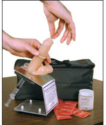 Circumcised Condom Training Model
