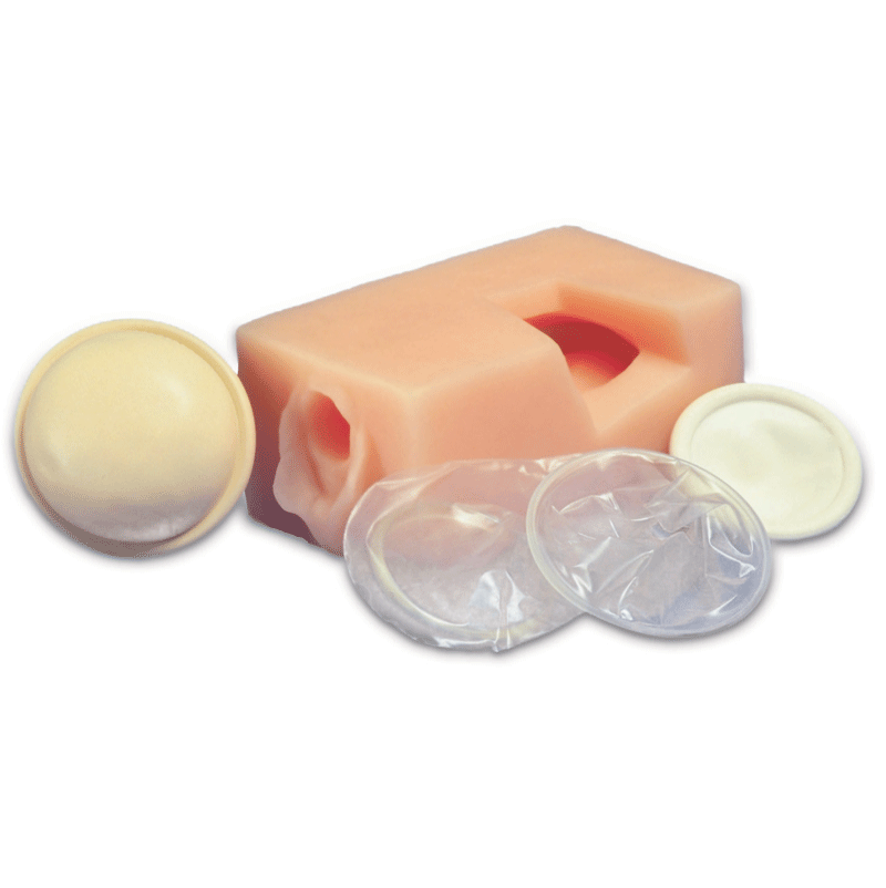 Female Pelvis Contraceptive Model