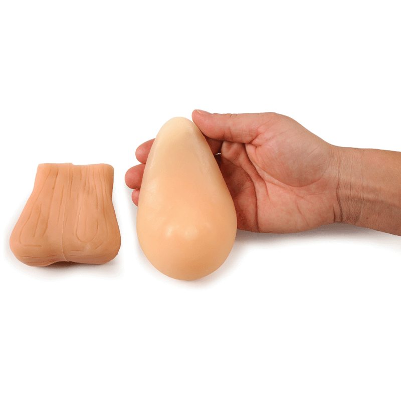 Teen BSE/TSE Model Kit