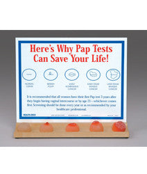 Cervix Model Display