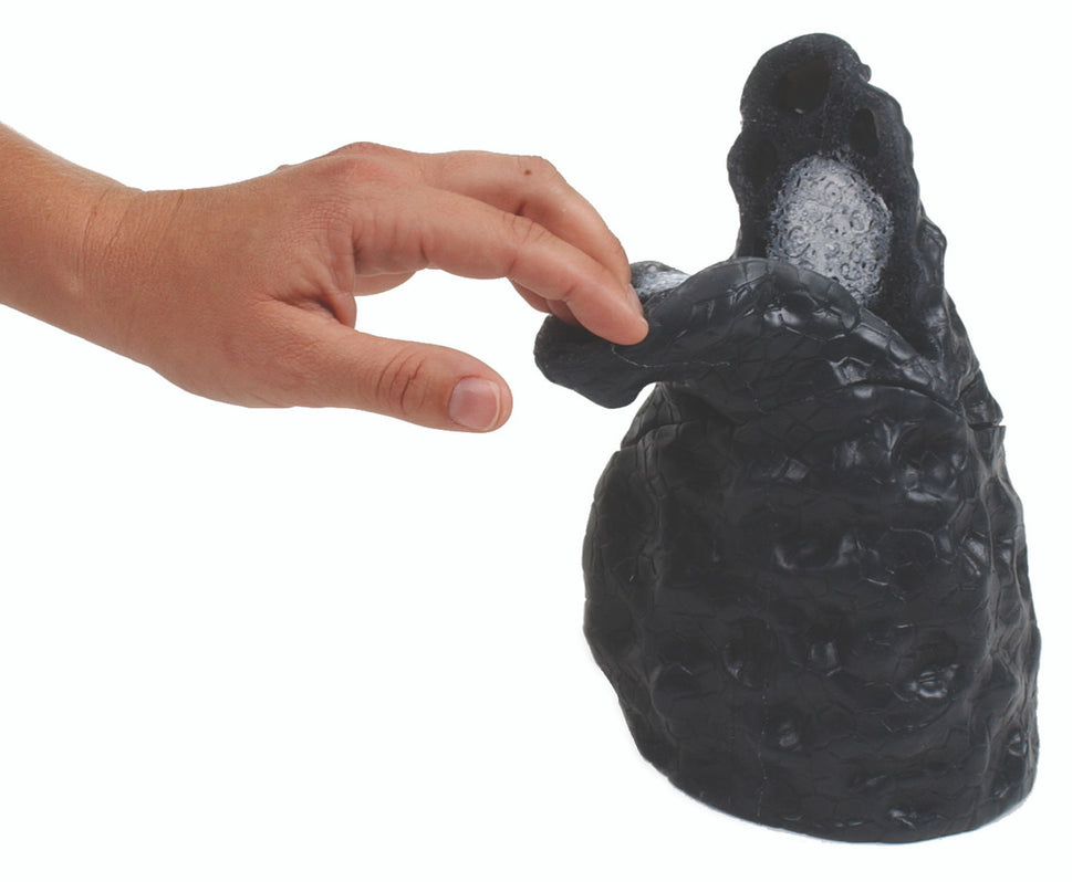Smoker's Lung Model