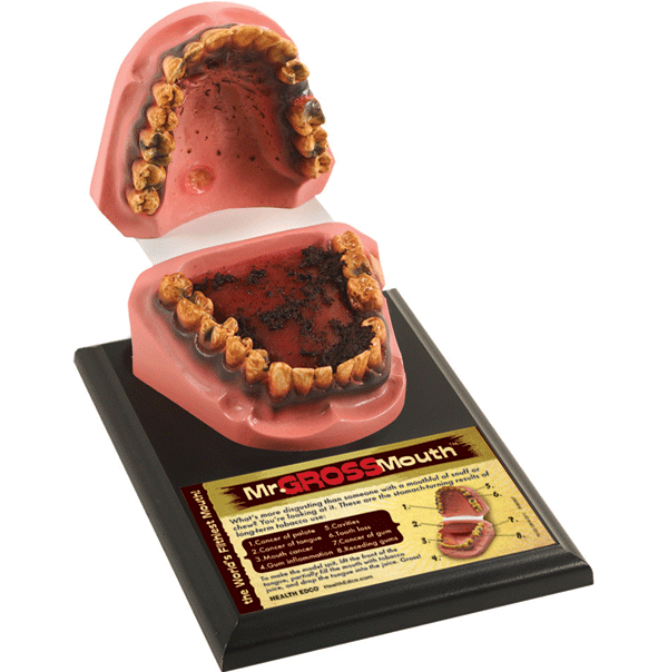 Mr Gross Mouth Model