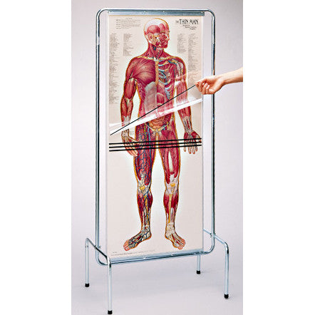 Thin Man Life-size Anatomy Overlay Chart
