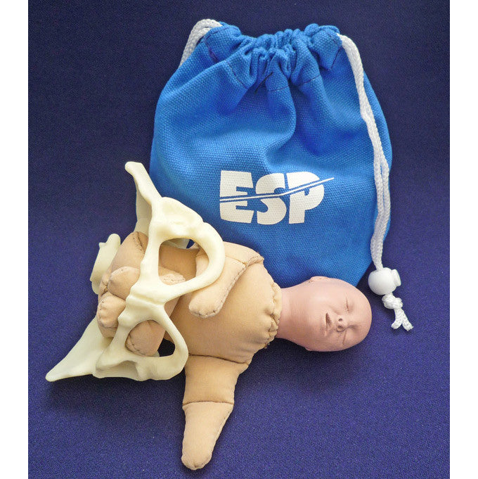 Miniature Birth Model Set